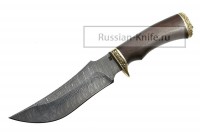 -   ( ), 