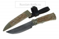 -   ( ), 