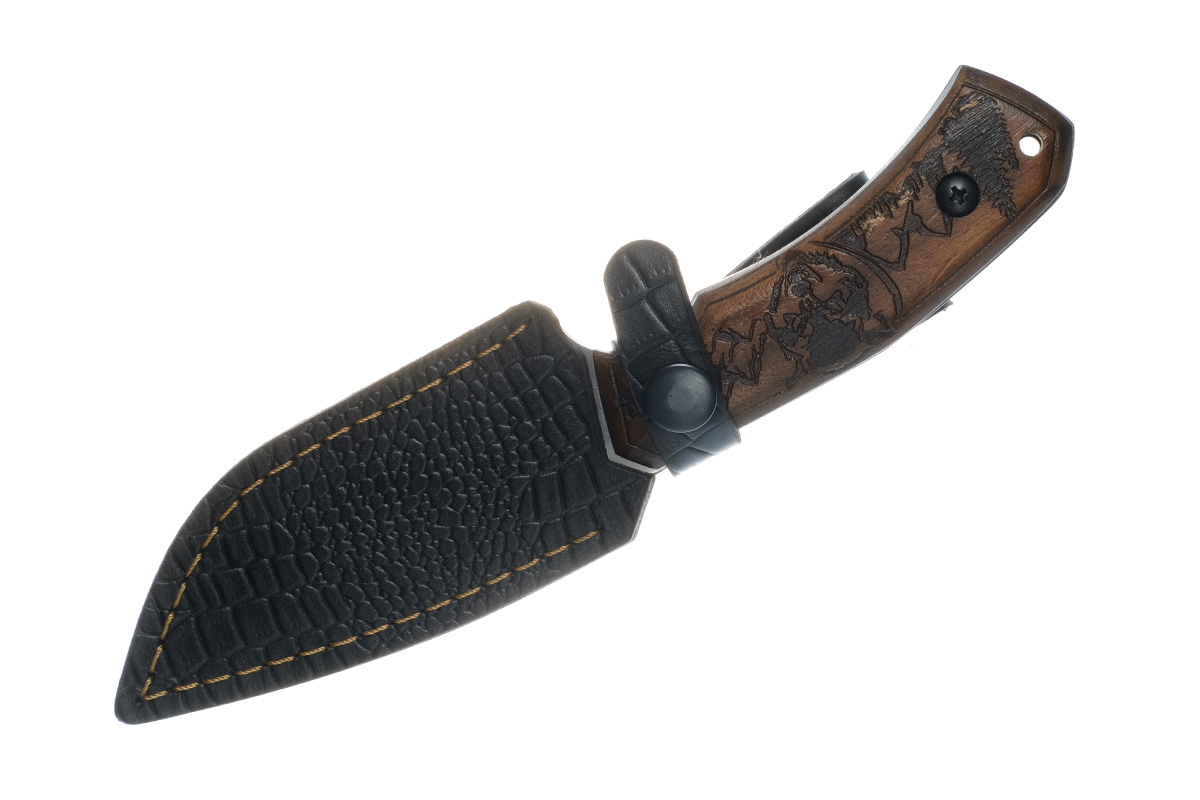 ��� ����� (����� �12��), �.�., ����, ������