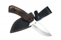 ��� ����� (����� �12��), �.�., ����, ������